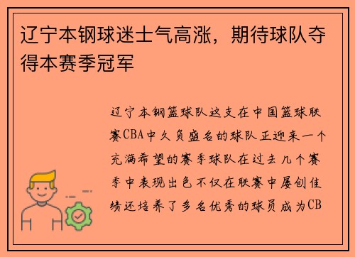 辽宁本钢球迷士气高涨，期待球队夺得本赛季冠军